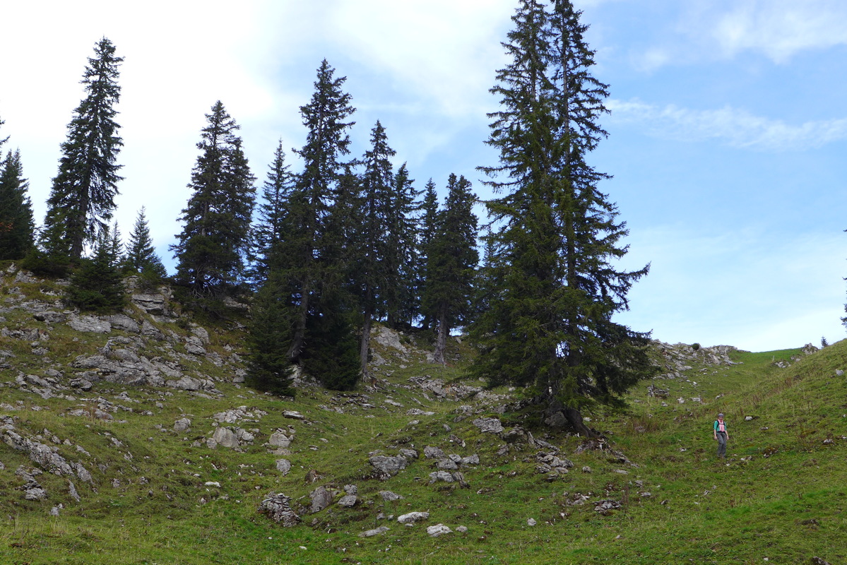 p1010276.jpg