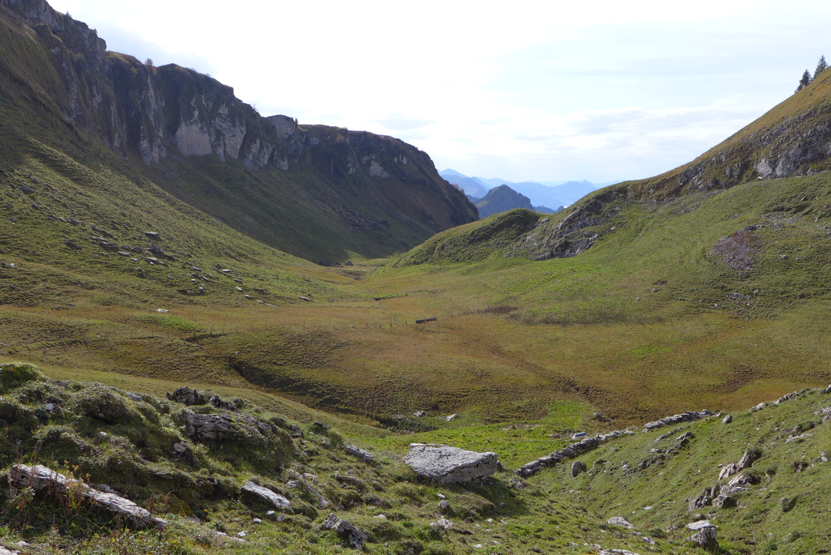 p1010277.jpg