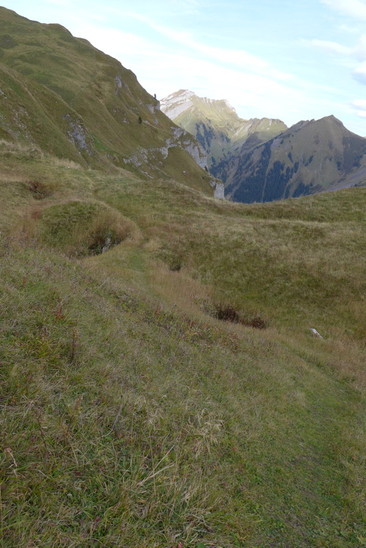 p1010283.jpg