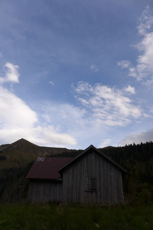 p1010290.jpg