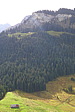 p1010251.jpg