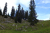 p1010276.jpg