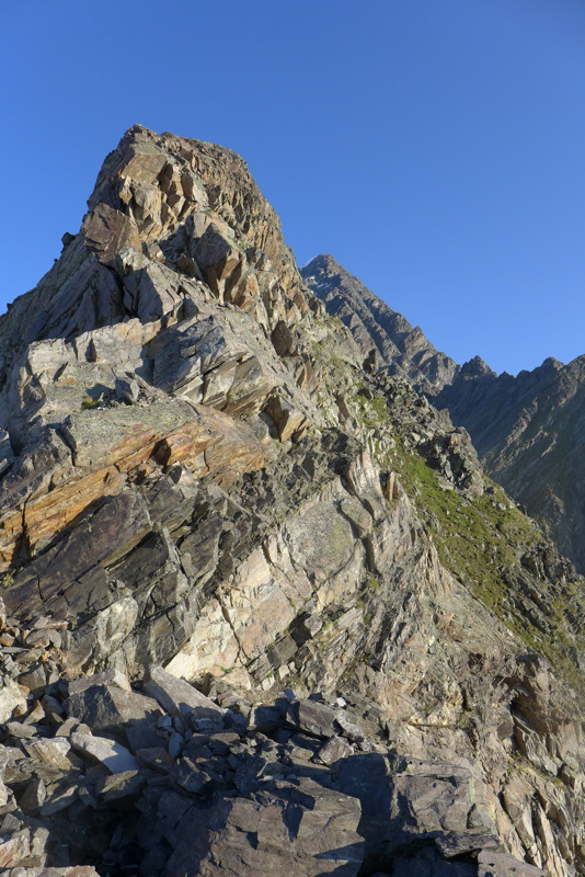 p1000519.jpg