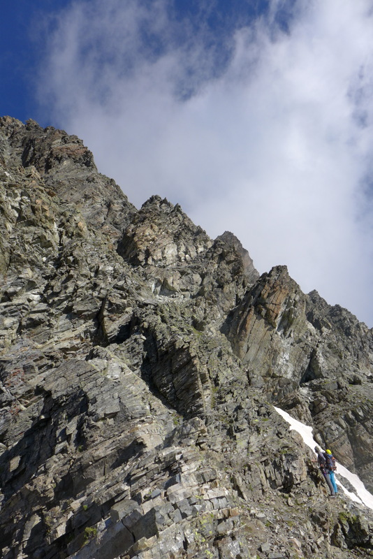 p1000529.jpg