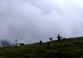 Hochstuckli