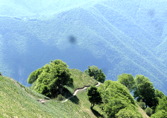 Valle Colla