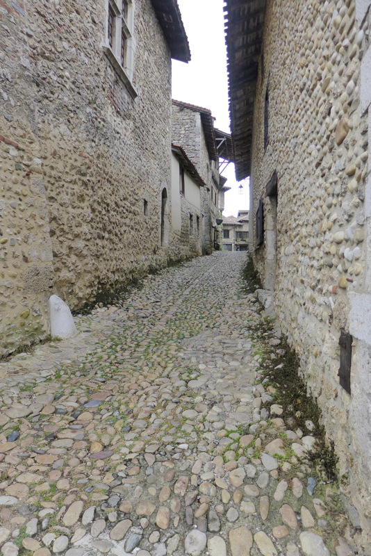 p1010221.jpg