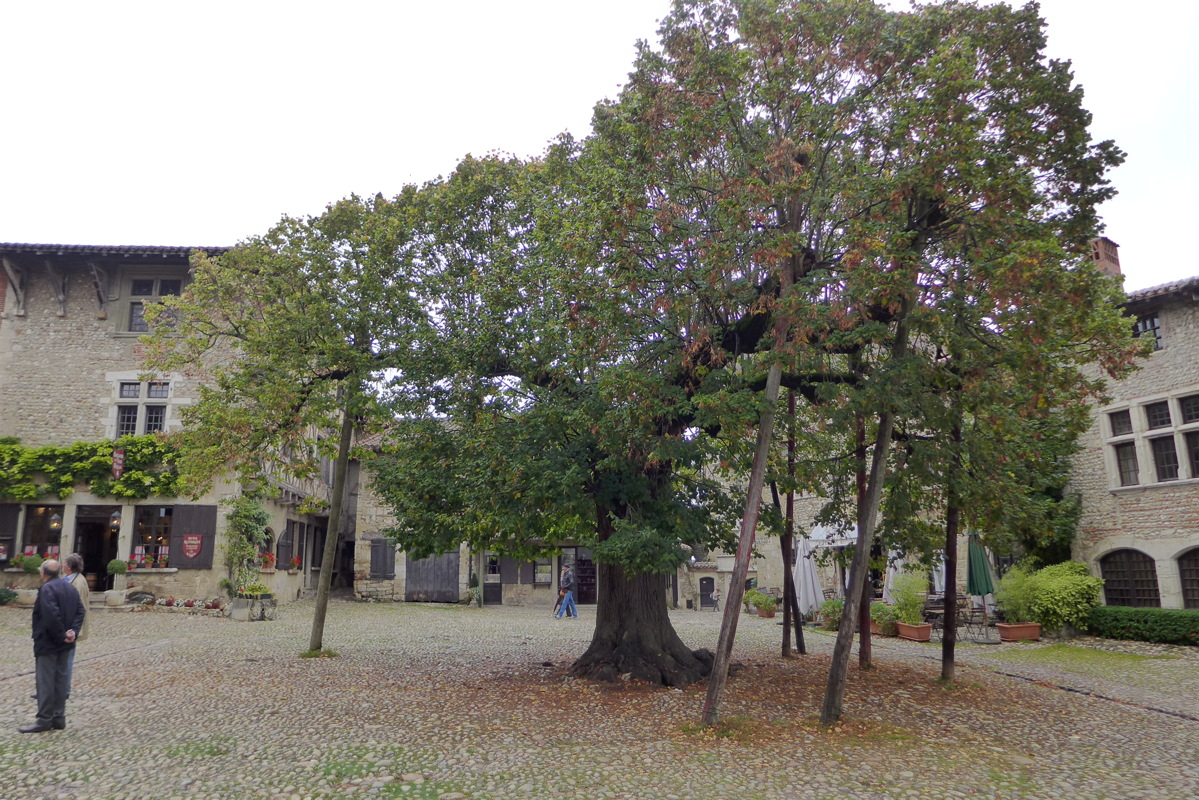 p1010223.jpg