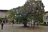 p1010223.jpg