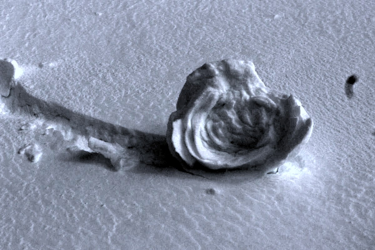 p1070234.jpg