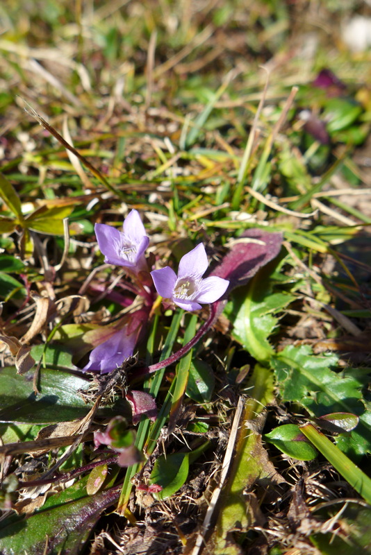 p1030299.jpg