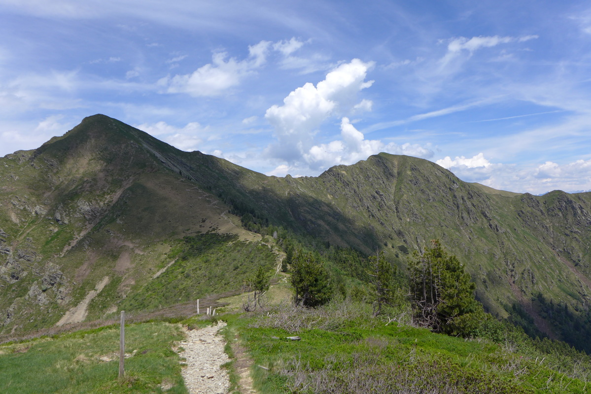 p1000165.jpg