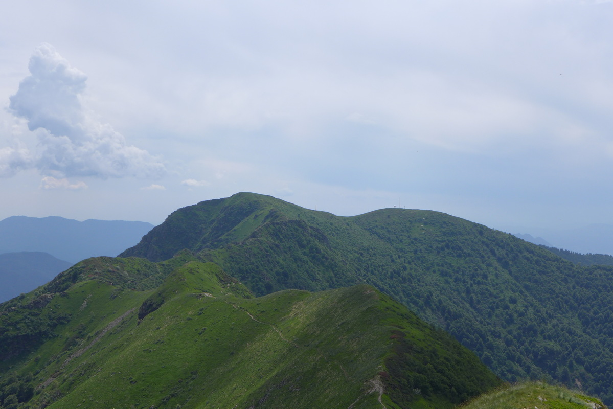 p1000169.jpg