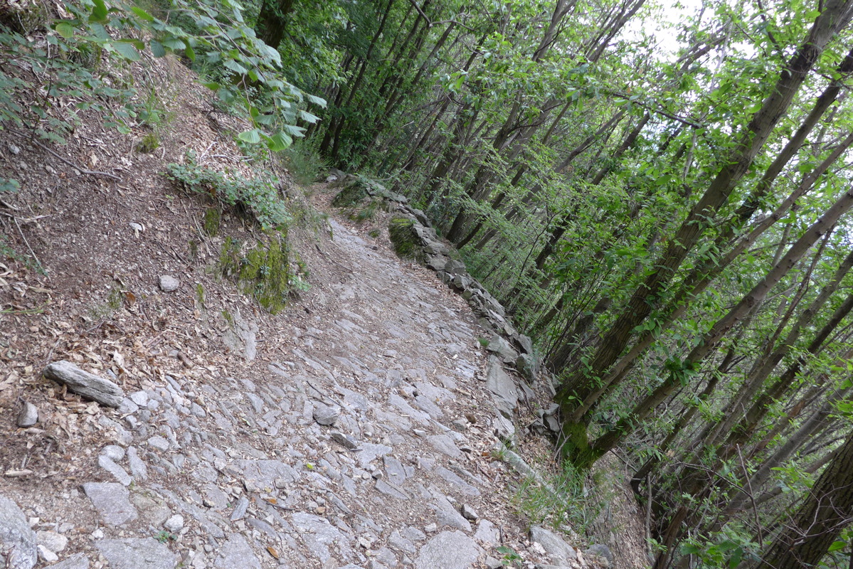 p1000173.jpg