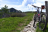 p1000166.jpg