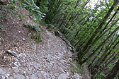 p1000173.jpg