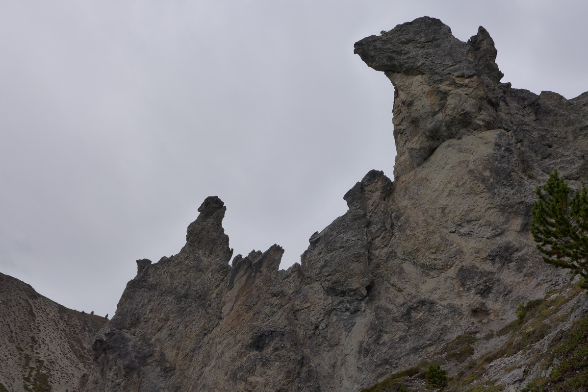 p1000990.jpg