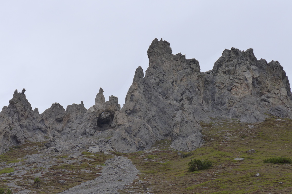 p1000993.jpg