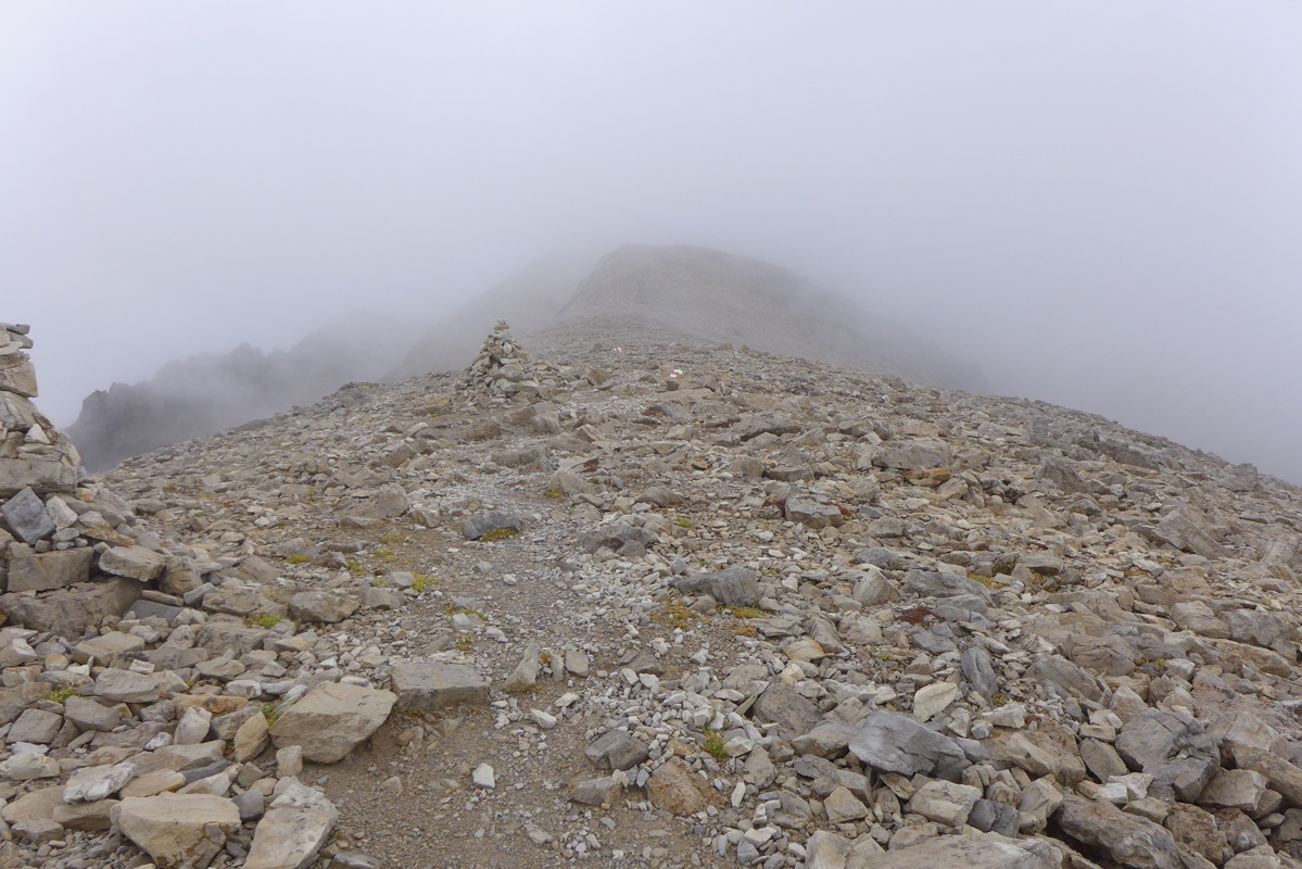 p1000998.jpg