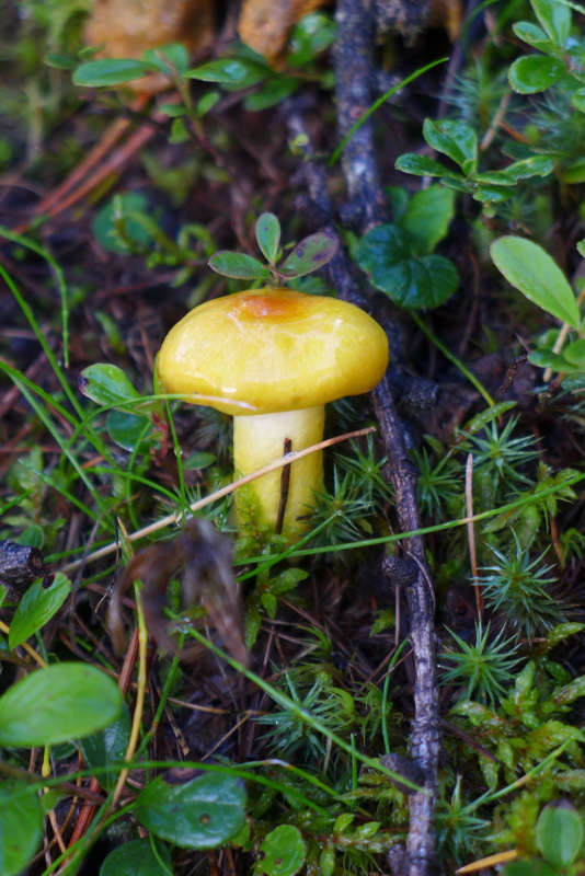 p1010021.jpg