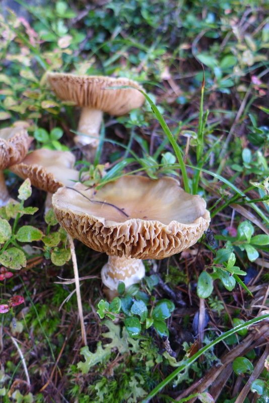 p1010024.jpg