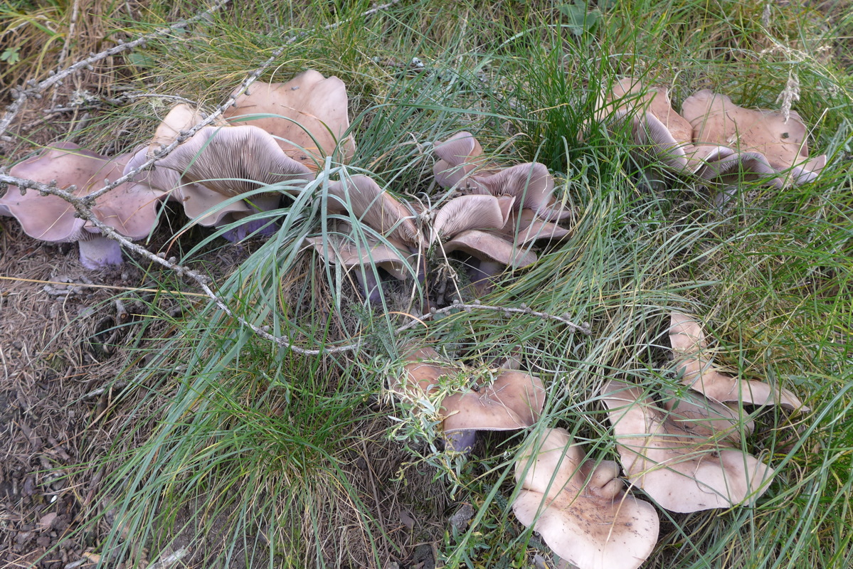p1010068.jpg