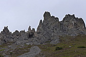 p1000993.jpg