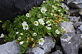 p1010004.jpg