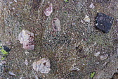 p1010009.jpg