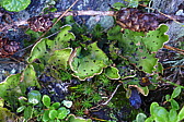 p1010020.jpg