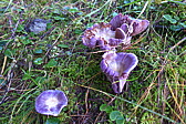 p1010027.jpg