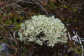 p1010051.jpg