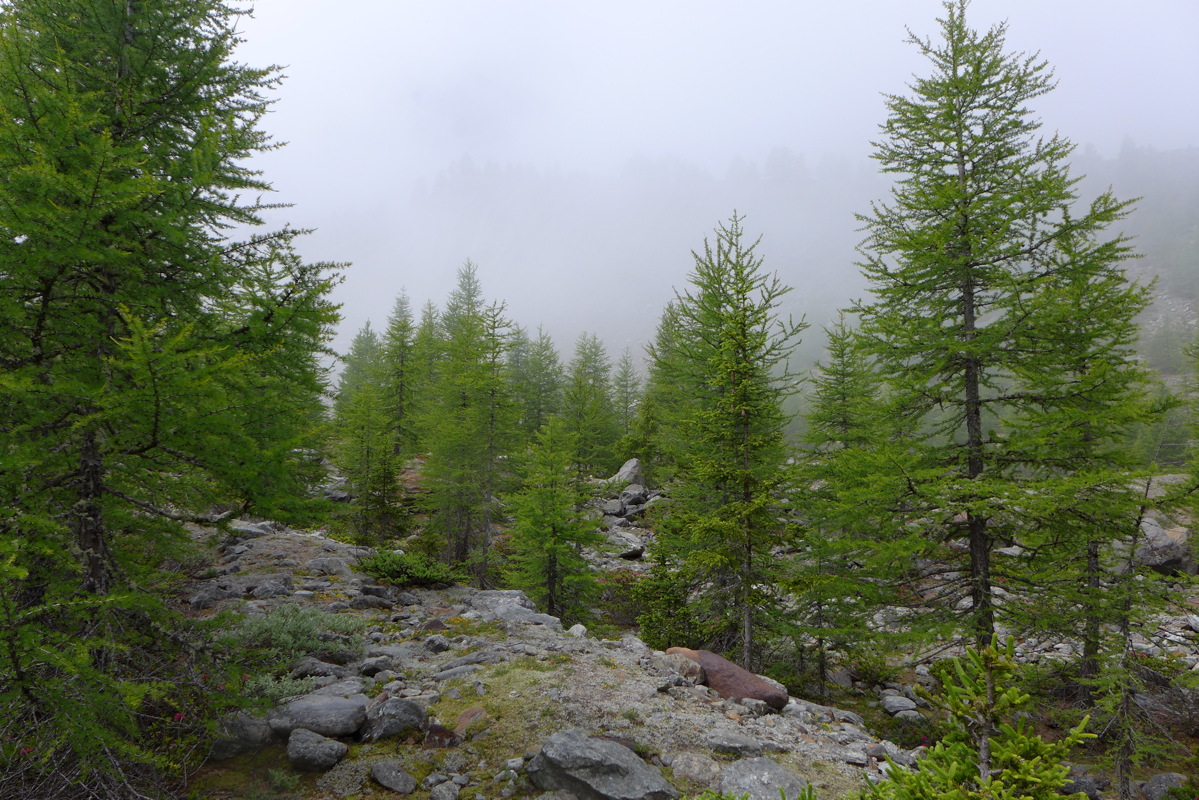 p1000377.jpg