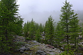 p1000377.jpg