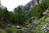 p1000381.jpg