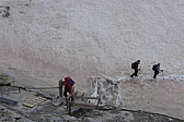 p1000392.jpg