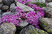 p1000396.jpg