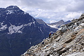 p1000437.jpg