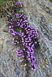 p1000440.jpg