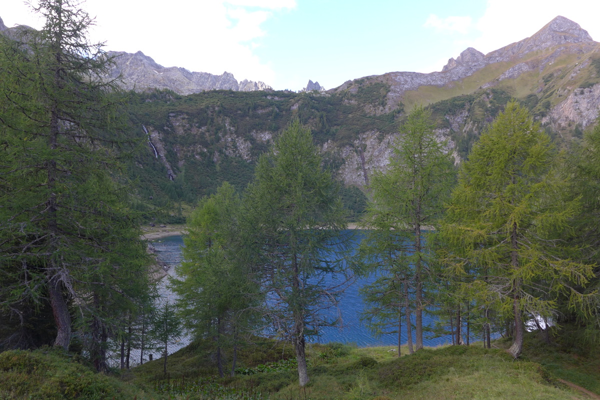 p1000917.jpg