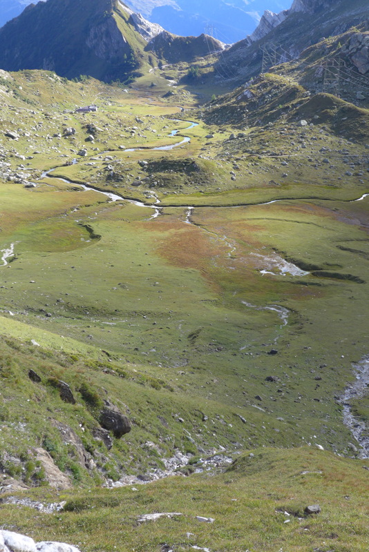 p1000925.jpg