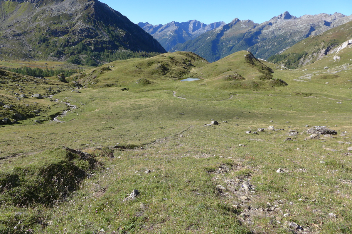 p1000931.jpg