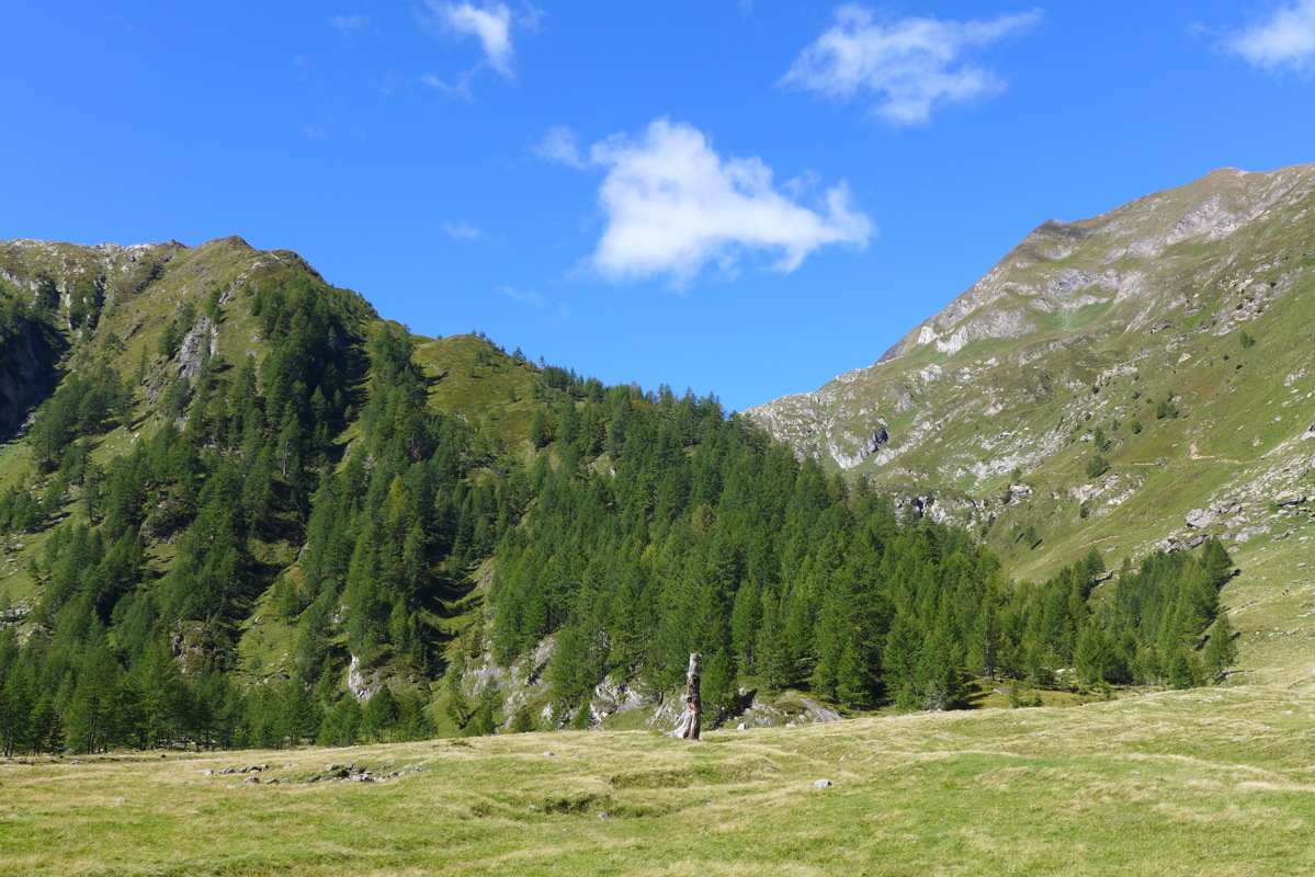 p1000936.jpg