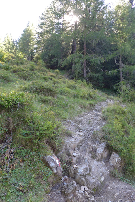 p1000947.jpg
