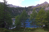 p1000917.jpg