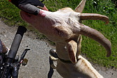 p1000934.jpg