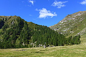 p1000936.jpg