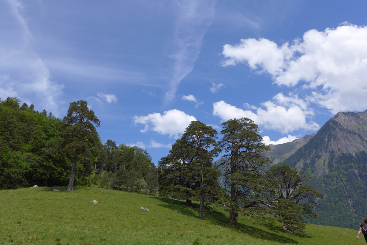 p1000005.jpg