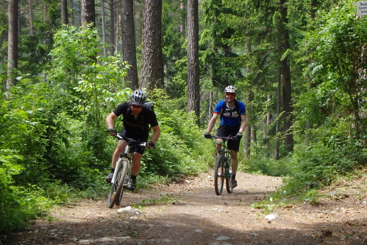 p1000007a.jpg