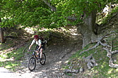 p1000001.jpg
